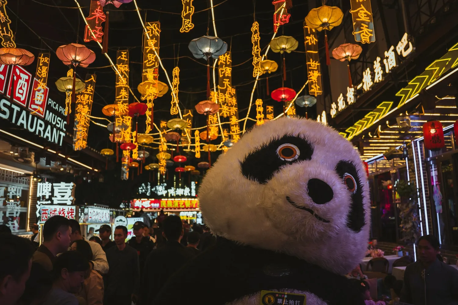 Cover for The Perfect 48-Hour Weekend Itinerary in Chengdu, China