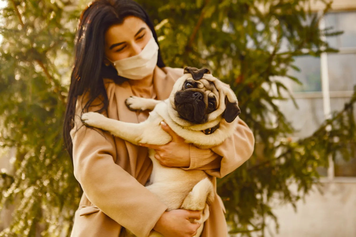 Cover for China Customs Tightens Pet Import Quarantine Mandates