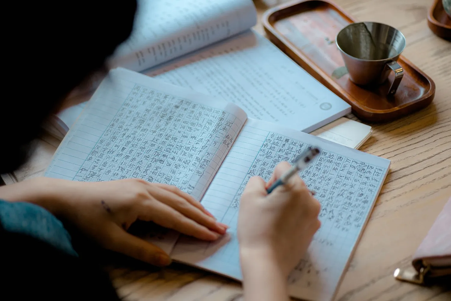 Cover for Mastering the HSK: Chinese Language Learning and Exams